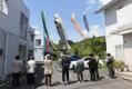 令和8年4月16日　鯉のぼり